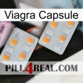 Viagra Capsule 25